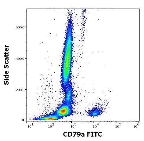 FITC Conjugated Anti-CD79a Monoclonal Antibody (Clone:HM47)